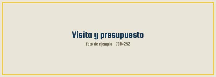 Visita y presupuesto
