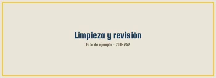 Limpieza y revisión final